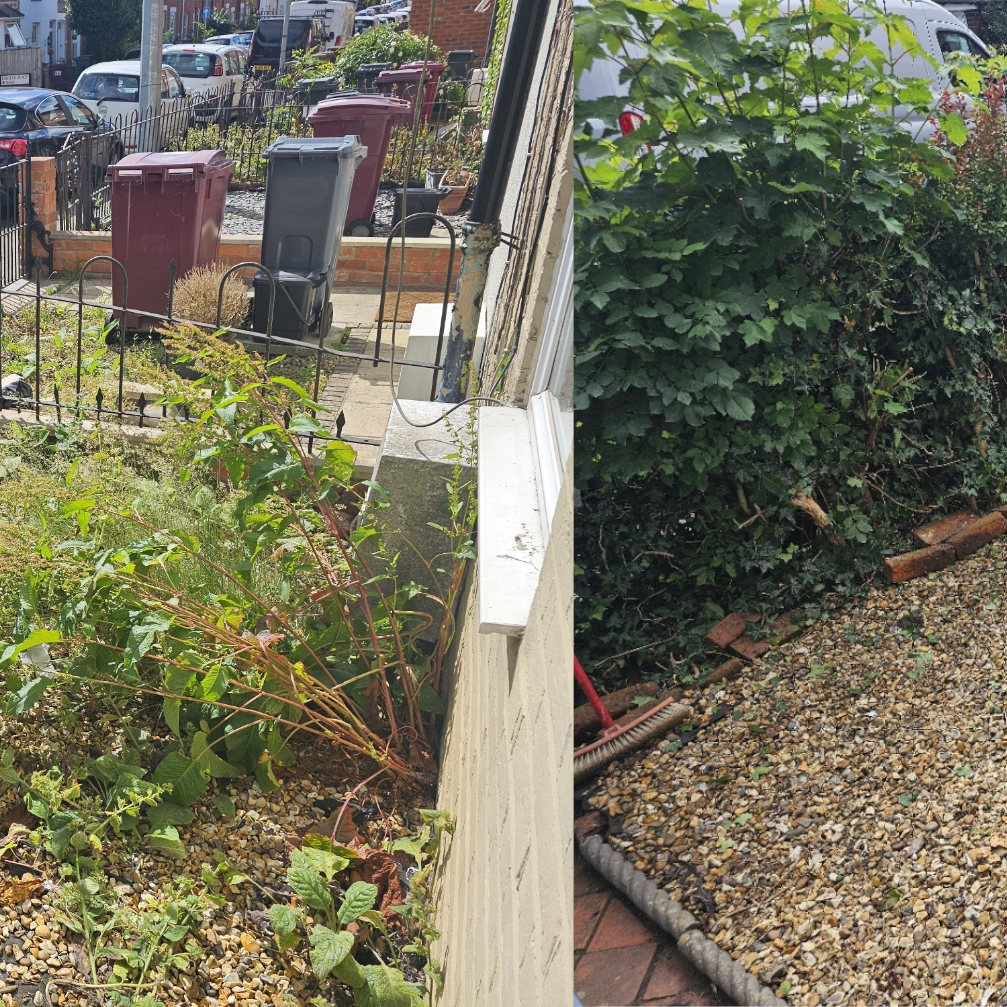 Garden Clearance Job 1