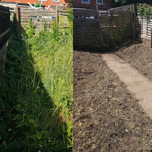 Great garden clearance job