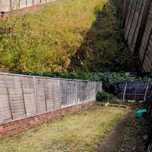 Garden Clearing Job 6