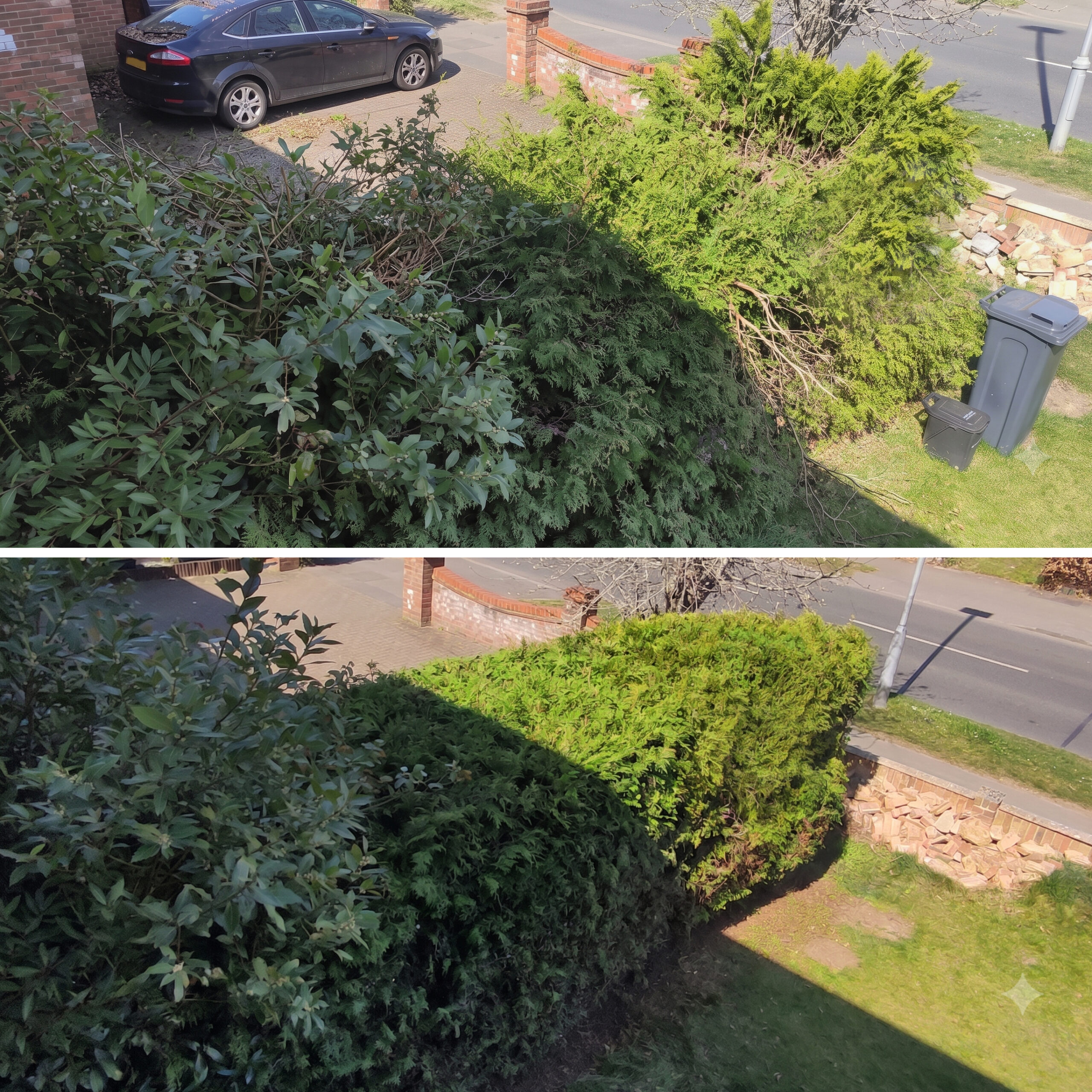 Hedge cutting job 1