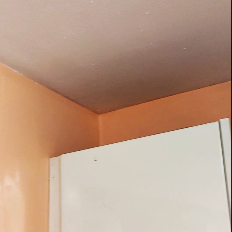 Quick painting job